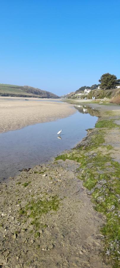 Aurora Apartment Newquay New Quay Zewnętrze zdjęcie
